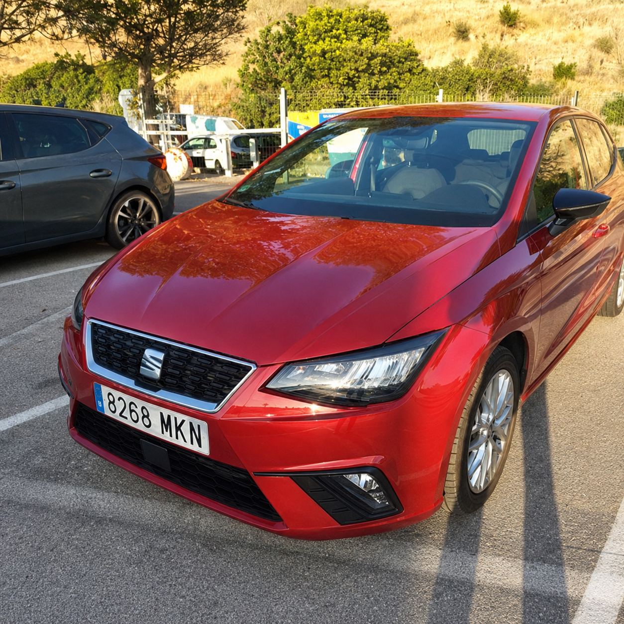 Seat Ibiza - Imagen 2